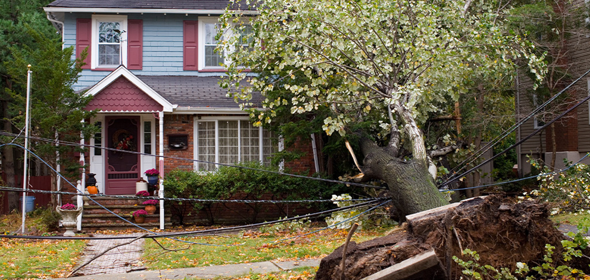 Downed tree over a residential home and power lines.