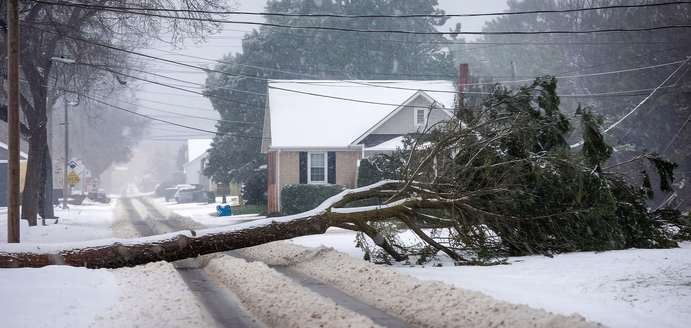 Snowy scene with a tree pole tipped over blocking the snowy road below
