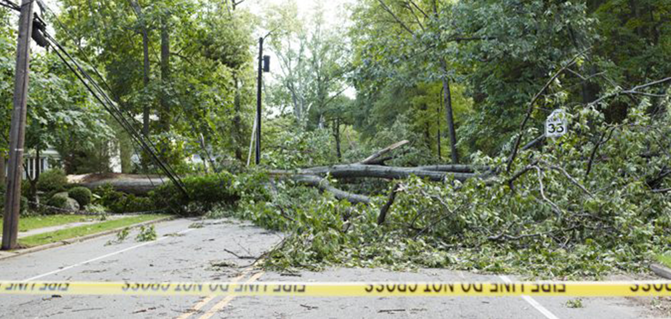 A downed tree over powerlines in a residential neighborhood.