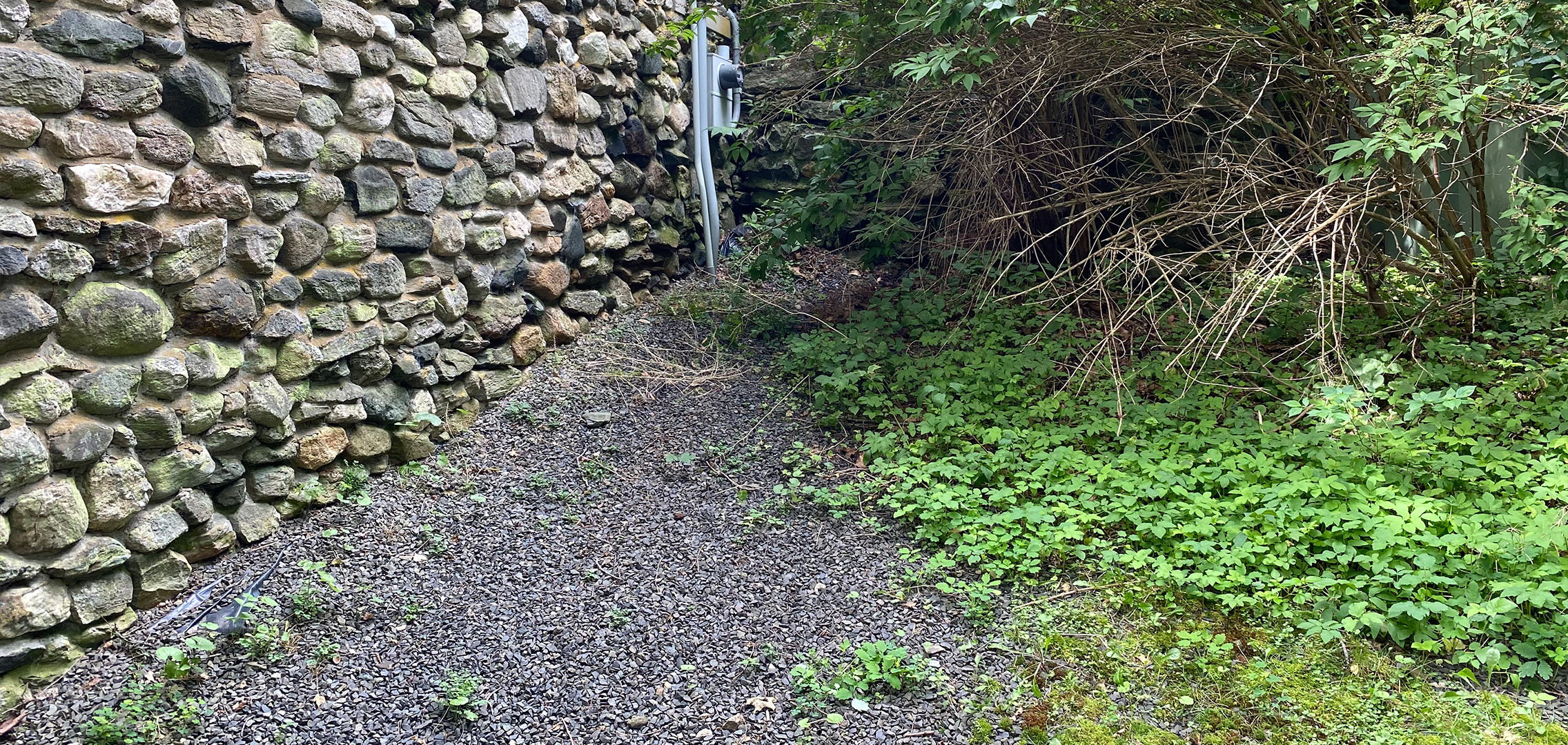 Before Tower Generator digs up Gunn Memorial Library for generator, outside area